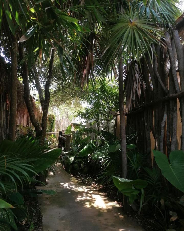 Cozy Room Near The Beach, Party Zone Tulum Ngoại thất bức ảnh